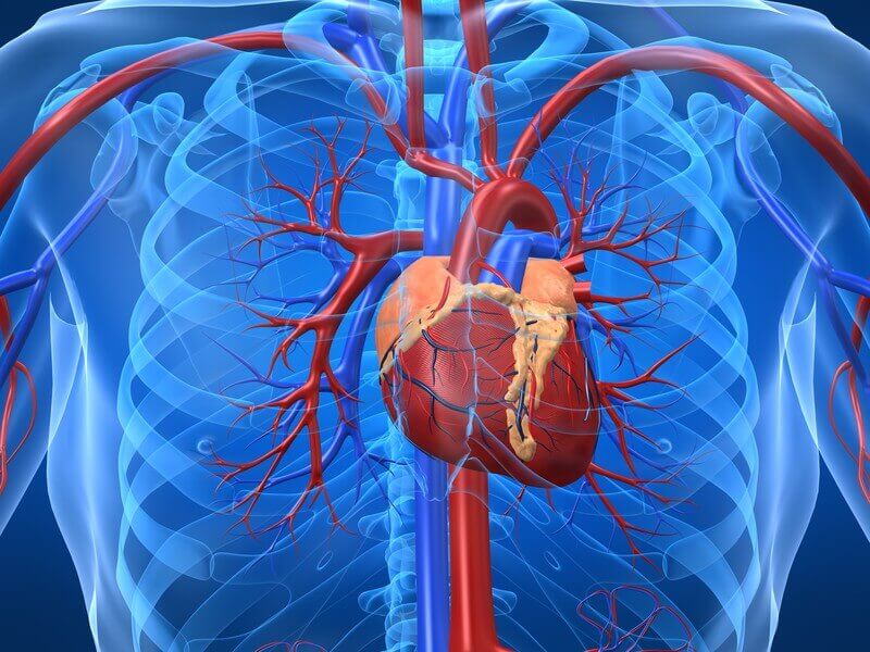 Penyakit Kardiovaskular: Diagnosa Banding