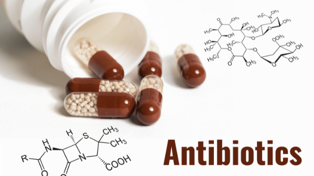 Menghafal Jenis Antibiotik dengan Mudah